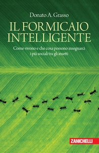 Il formicaio intelligente. Come vivono e che cosa possono insegnarci i più sociali tra gli insetti - Librerie.coop