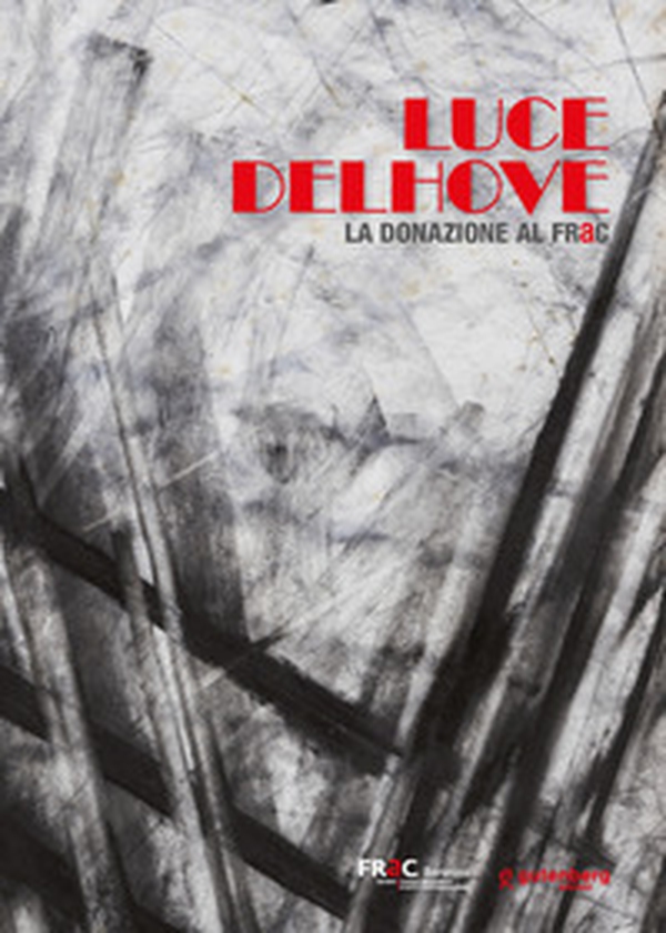 Luce Delhove. La donazione al FRaC - Librerie.coop Luce Delhove. La donazione al FRaC - Librerie.coop