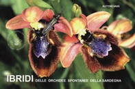 Ibridi delle orchidee spontanee della Sardegna - Librerie.coop