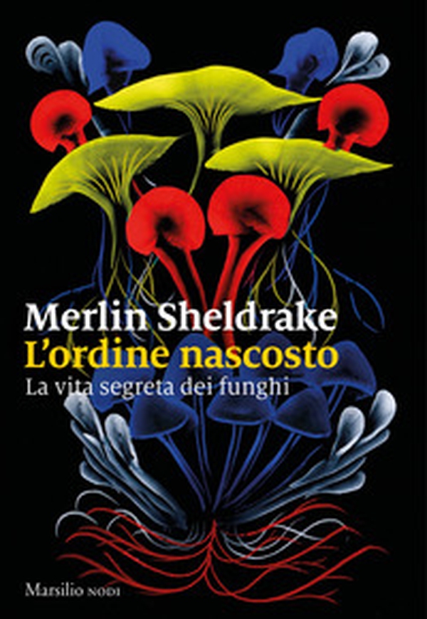 L'ordine nascosto. La vita segreta dei funghi - Librerie.coop L'ordine nascosto. La vita segreta dei funghi - Librerie.coop