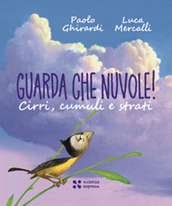 Guarda che nuvole - Librerie.coop