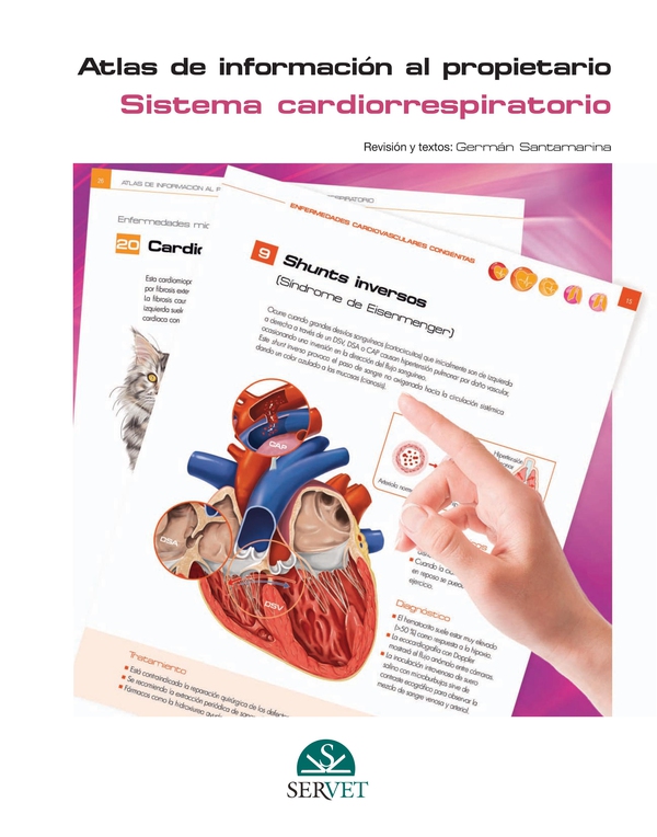 Atlas de información al propietario. Sistema cardiorrespiratorio - Librerie.coop Atlas de información al propietario. Sistema cardiorrespiratorio - Librerie.coop