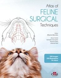 Atlas of FELINE SURGERY Techniques - Librerie.coop
