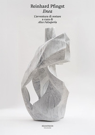 Reinhard Pfingst. Enea - Librerie.coop