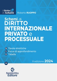 Schemi di diritto internazionale provato e processuale - Librerie.coop