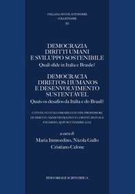 Democrazia diritti umani e sviluppo sostenibile. Quali sfide tra Italia e Brasile? - Librerie.coop