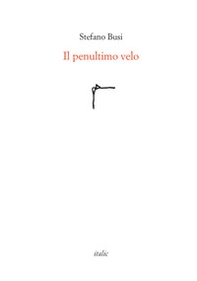 Il penultimo velo - Librerie.coop