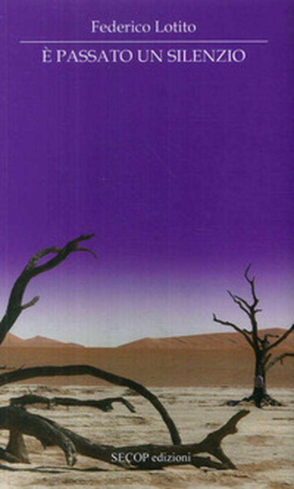 È passato un silenzio - Librerie.coop