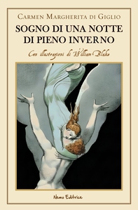 Sogno di una notte di pieno inverno - Librerie.coop