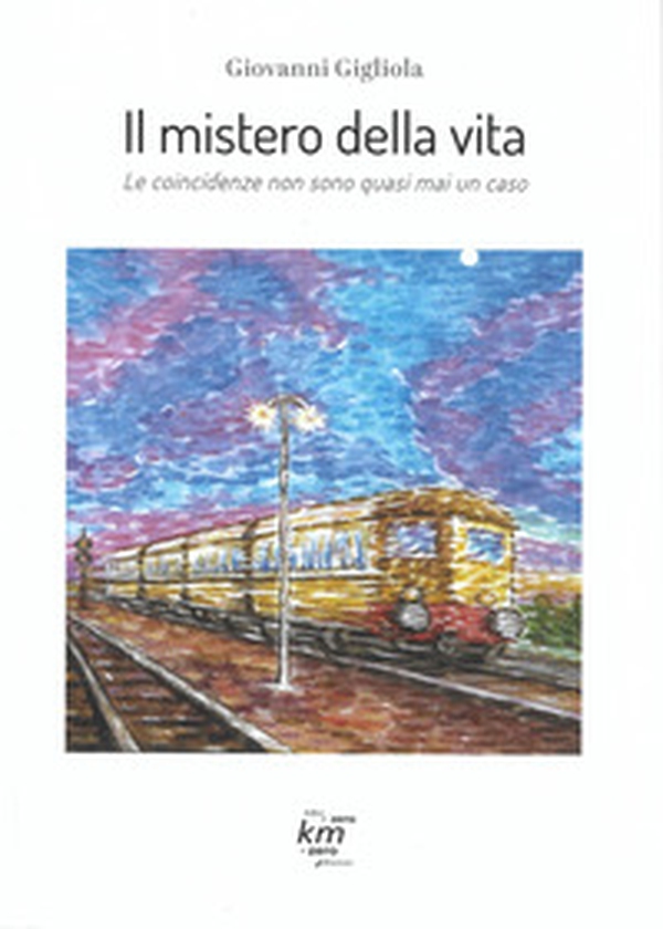 Il mistero della vita. Le coincidenze non sono quasi mai un caso - Librerie.coop Il mistero della vita. Le coincidenze non sono quasi mai un caso - Librerie.coop