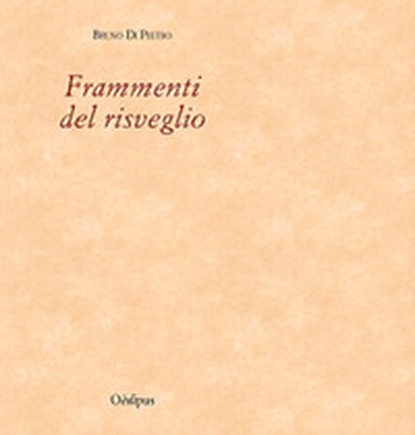 Frammenti del risveglio - Librerie.coop