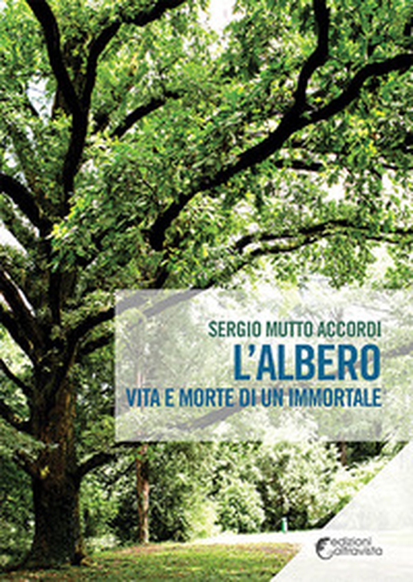 L'albero. Vita e morte di un immortale - Librerie.coop L'albero. Vita e morte di un immortale - Librerie.coop
