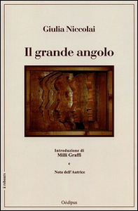 Il grande angolo - Librerie.coop Il grande angolo - Librerie.coop
