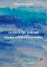 La fisica del sublime. Semplice, invisibile e imprevedibile - Librerie.coop