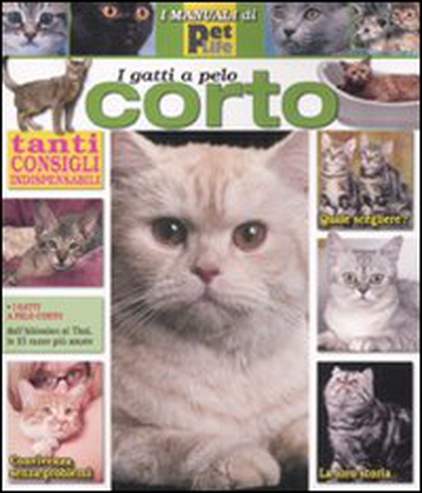 Gatto a pelo corto - Librerie.coop Gatto a pelo corto - Librerie.coop
