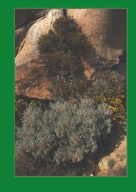 Affondi. Emersioni in profondità - Librerie.coop