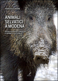 Animali selvatici a Modena. Piccola guida per conoscerli e capirne la gestione - Librerie.coop