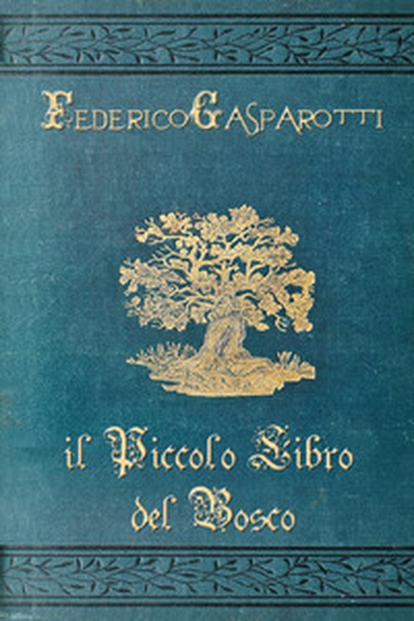 Il piccolo libro del bosco - Librerie.coop Il piccolo libro del bosco - Librerie.coop