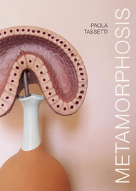 Paola Tassetti. Metamorphosis. Ediz. italiana e inglese - Librerie.coop