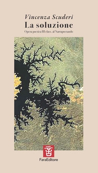 La soluzione. Opera poetica III class. al Narrapoetando - Librerie.coop