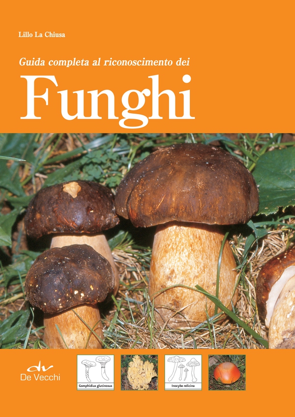 Guida completa al riconoscimento dei funghi - Librerie.coop Guida completa al riconoscimento dei funghi - Librerie.coop