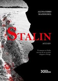 Stalin. Acciaio. Il romanzo su Stalin narrato da un ucraino rifugiato a Parigi - Librerie.coop
