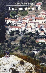 Un amore grande - Librerie.coop
