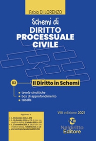 Schemi di diritto processuale civile - Librerie.coop