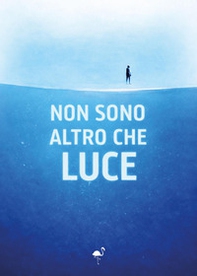 Non sono altro che luce - Librerie.coop