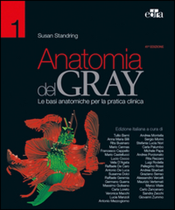 Anatomia del Gray. Le basi anatomiche per la pratica clinica - Librerie.coop Anatomia del Gray. Le basi anatomiche per la pratica clinica - Librerie.coop