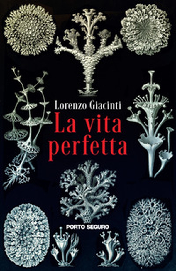 La vita perfetta - Librerie.coop La vita perfetta - Librerie.coop