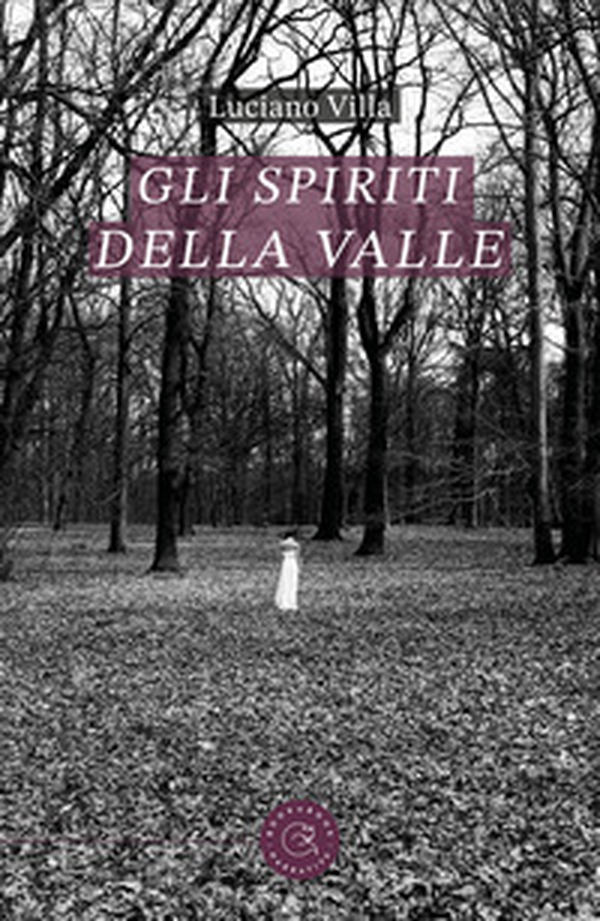 Gli spiriti della valle - Librerie.coop