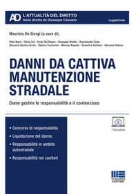 Danni da cattiva manutenzione stradale - Librerie.coop