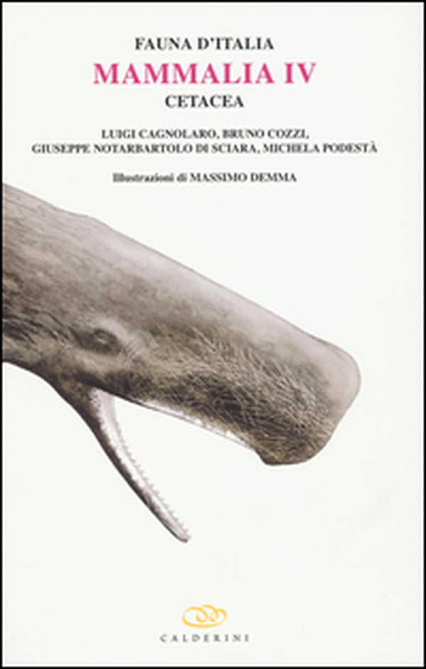 Mammalia IV cetacea - Librerie.coop