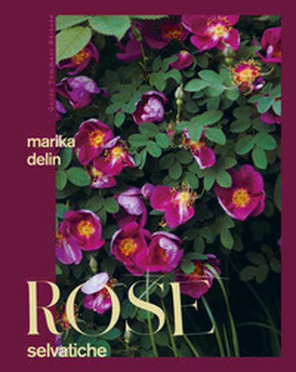 Rose selvatiche - Librerie.coop Rose selvatiche - Librerie.coop