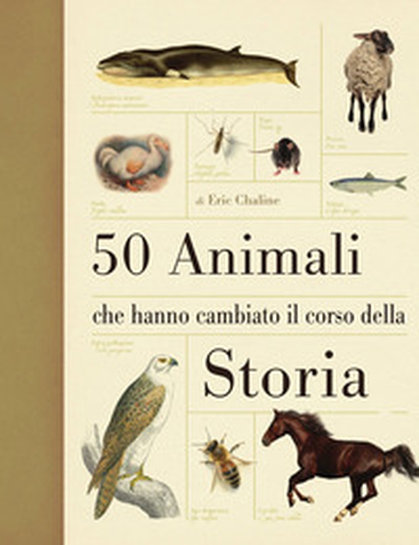 50 animali che hanno cambiato la storia - Librerie.coop 50 animali che hanno cambiato la storia - Librerie.coop