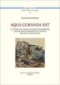 Aqua curanda est. Le acque e il loro utilizzo nei territori di Friburgo in Brisgovia e Catania dal XIII al XVI secolo - Librerie.coop