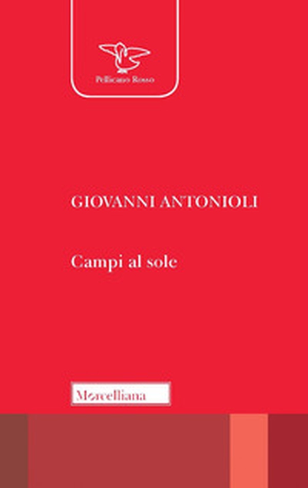 Campi al sole - Librerie.coop Campi al sole - Librerie.coop