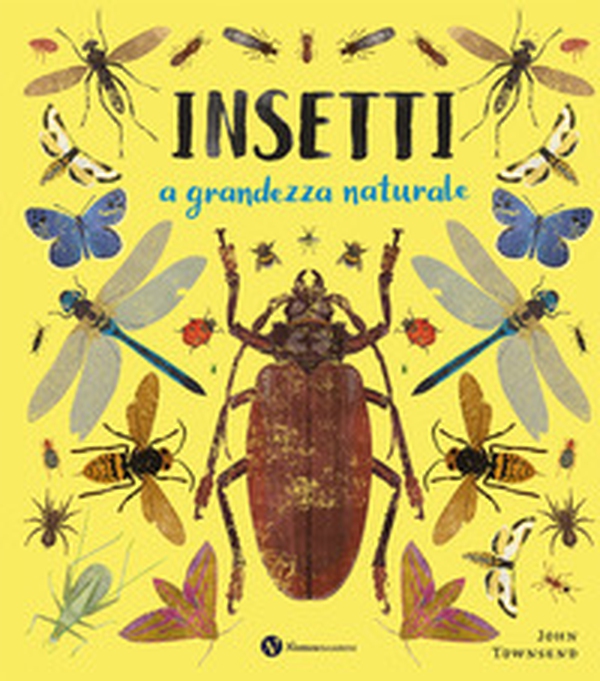 Insetti. A grandezza naturale - Librerie.coop Insetti. A grandezza naturale - Librerie.coop