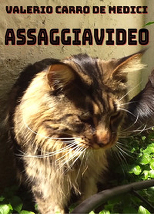 Assaggiavideo - Librerie.coop Assaggiavideo - Librerie.coop