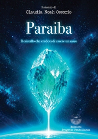 Paraiba. Il cristallo che credeva di essere un sasso - Librerie.coop