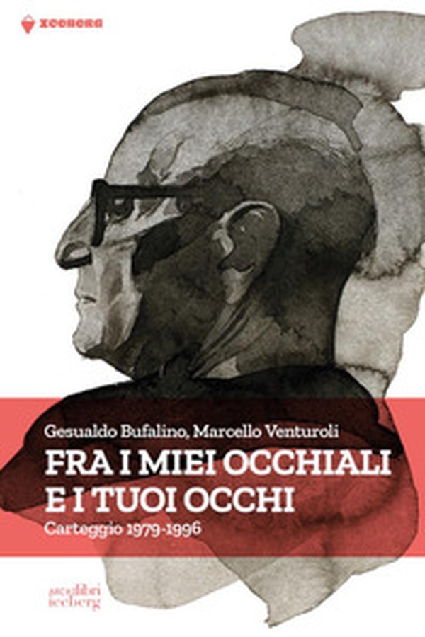 Fra i miei occhiali e tuoi occhi. Carteggio 1979-1996 - Librerie.coop Fra i miei occhiali e tuoi occhi. Carteggio 1979-1996 - Librerie.coop