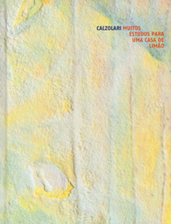 Pier Paolo Calzolari. Muitos estudos para uma casa de limão. Catalogo della mostra (Londra, 1-25 ottobre 2019; Düsseldorf, 17 gennaio-29 febbraio 2020). Ediz. tedesca - Librerie.coop Pier Paolo Calzolari. Muitos estudos para uma casa de limão. Catalogo della mostra (Londra, 1-25 ottobre 2019; Düsseldorf, 17 gennaio-29 febbraio 2020). Ediz. tedesca - Librerie.coop