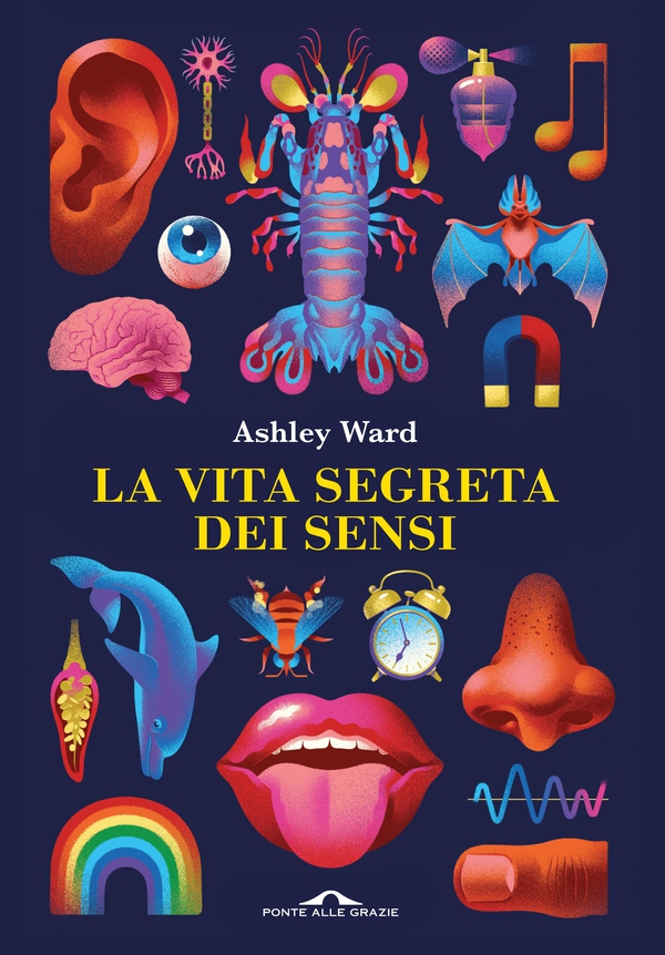 La vita segreta dei sensi - Librerie.coop La vita segreta dei sensi - Librerie.coop