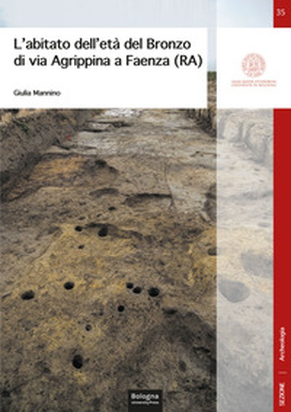 L'abitato dell'età del Bronzo di via Agrippina a Faenza (RA) - Librerie.coop L'abitato dell'età del Bronzo di via Agrippina a Faenza (RA) - Librerie.coop