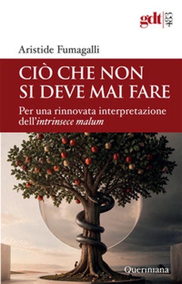 Ciò che non si deve mai fare. Per una rinnovata interpretazione dell'intrinsece malum - Librerie.coop
