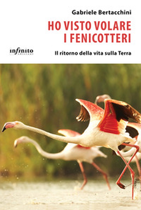 Ho visto volare i fenicotteri. Il ritorno della vita sulla Terra - Librerie.coop Ho visto volare i fenicotteri. Il ritorno della vita sulla Terra - Librerie.coop
