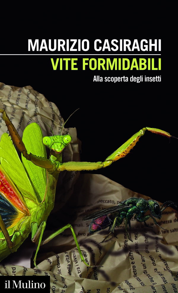Vite formidabili - Librerie.coop Vite formidabili - Librerie.coop