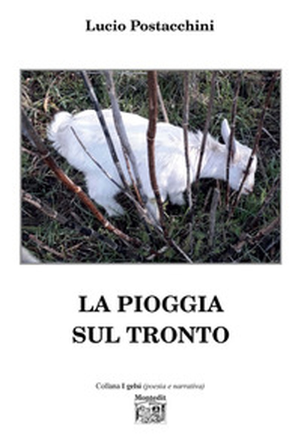La pioggia sul Tronto - Librerie.coop La pioggia sul Tronto - Librerie.coop