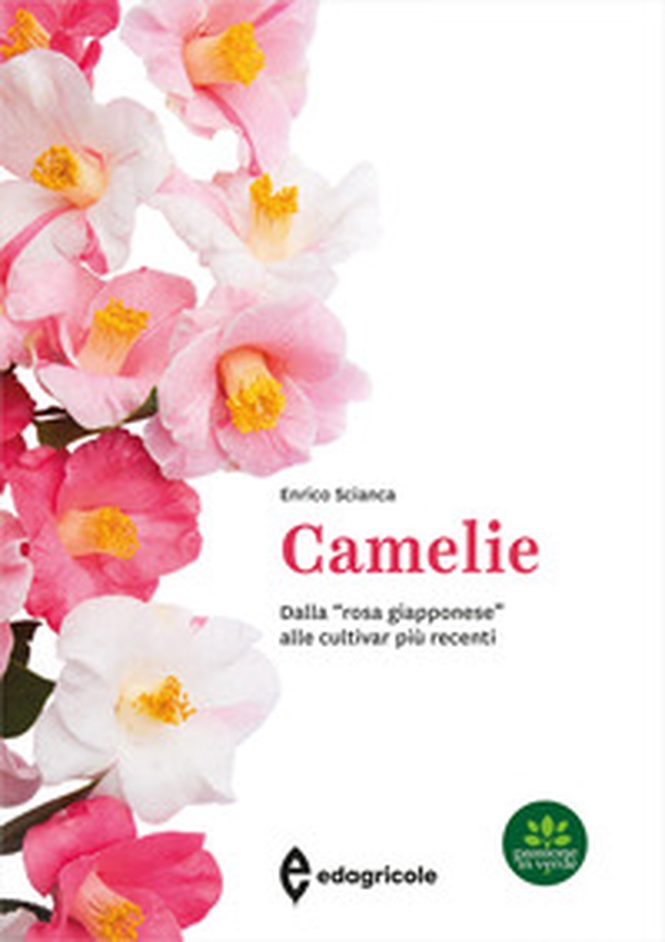 Camelie. Dalla «rosa giapponese» alle cultivar più recenti - Librerie.coop Camelie. Dalla «rosa giapponese» alle cultivar più recenti - Librerie.coop